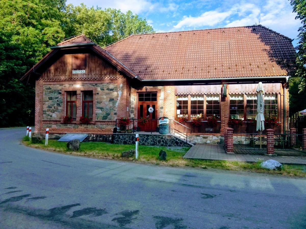 Hotel Penzion Pacovka à Chynov Extérieur photo