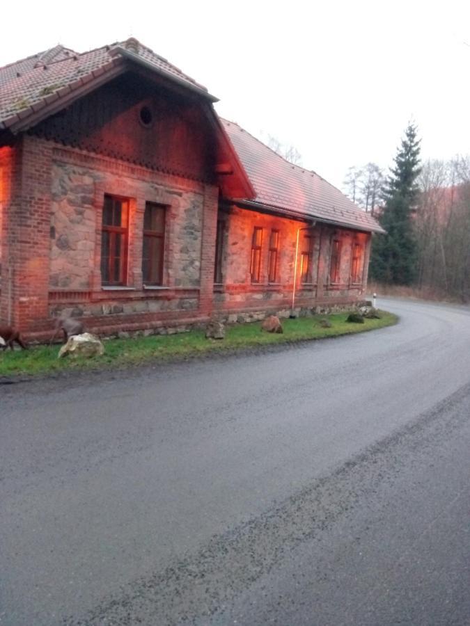 Hotel Penzion Pacovka à Chynov Extérieur photo